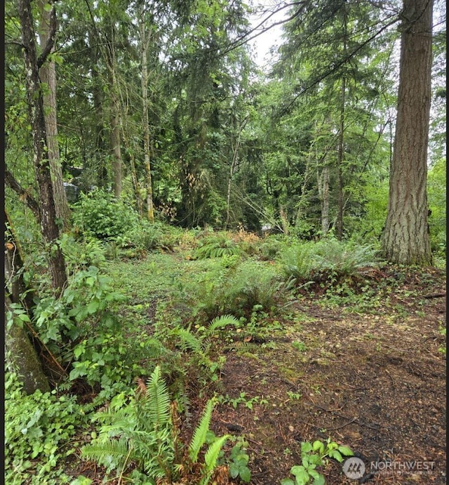 15600 SE 234th St, Kent, WA 98042