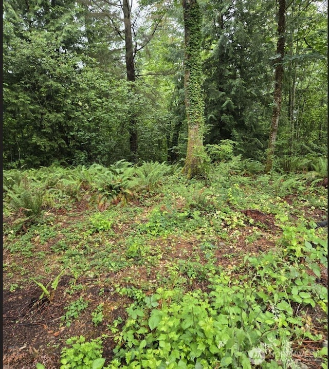 15600 SE 234th St, Kent, WA 98042