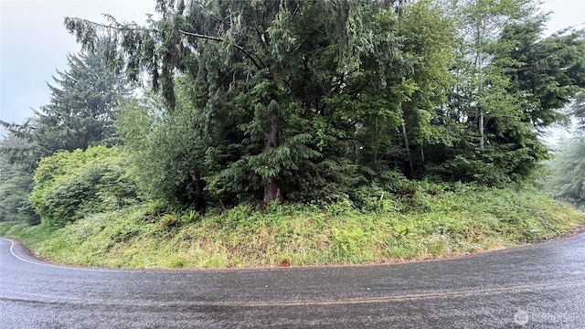 131015416 S S Bend Palix Rd, South Bend, WA 98586 - photo 1