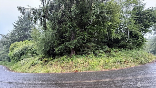 131015416 S S Bend Palix Rd, South Bend, WA 98586 - photo 2