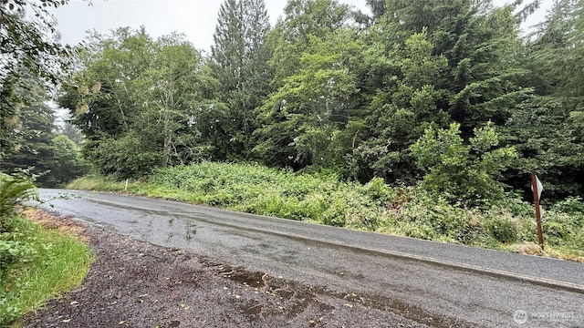 131015416 S S Bend Palix Rd, South Bend, WA 98586 - photo 3