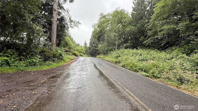 131015416 S S Bend Palix Rd, South Bend, WA 98586 - photo 5