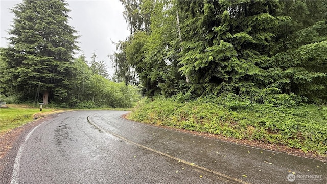 131015416 S S Bend Palix Rd, South Bend, WA 98586 - photo 6