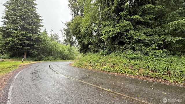 131015416 S S Bend Palix Rd, South Bend, WA 98586 - photo 7