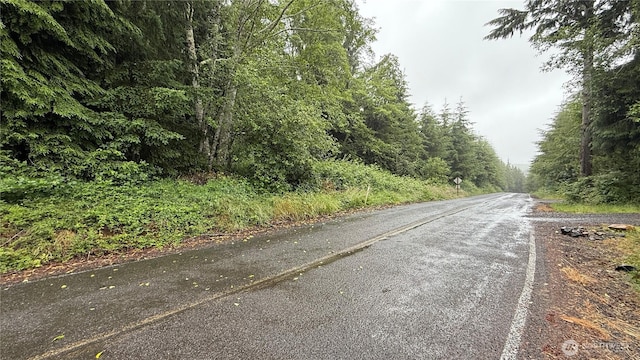 131015416 S S Bend Palix Rd, South Bend, WA 98586 - photo 8