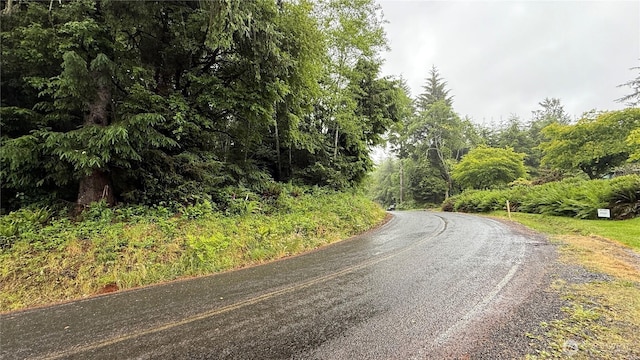131015416 S S Bend Palix Rd, South Bend, WA 98586 - photo 10