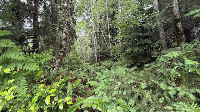 131015416 S S Bend Palix Rd, South Bend, WA 98586 - photo 11