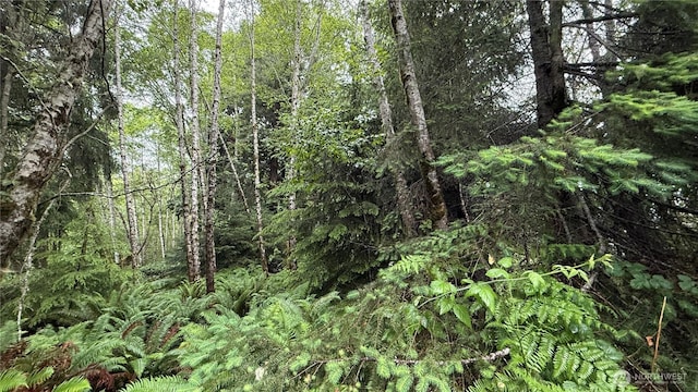 131015416 S S Bend Palix Rd, South Bend, WA 98586 - photo 12