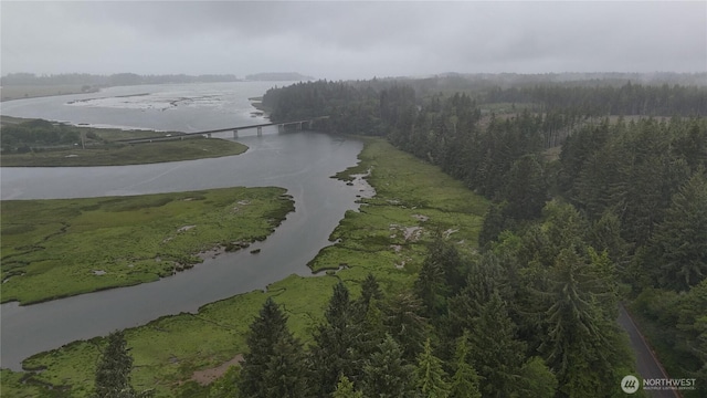 131015416 S S Bend Palix Rd, South Bend, WA 98586 - photo 13