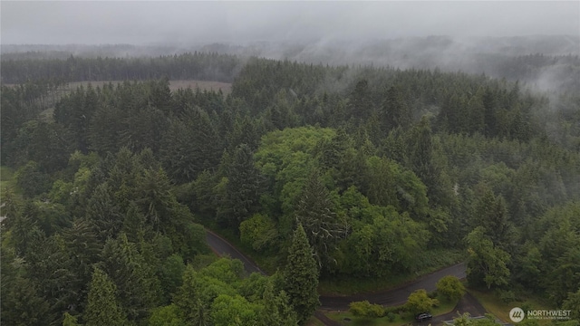 131015416 S S Bend Palix Rd, South Bend, WA 98586 - photo 14