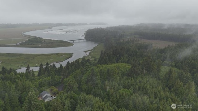 131015416 S S Bend Palix Rd, South Bend, WA 98586 - photo 22