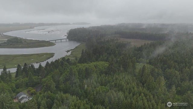 131015416 S S Bend Palix Rd, South Bend, WA 98586 - photo 23