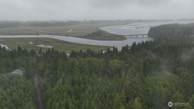 131015416 S S Bend Palix Rd, South Bend, WA 98586 - photo 24