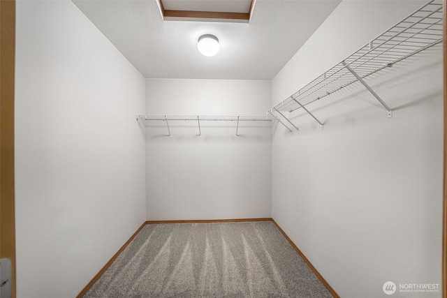 4817 S 251st Ct, Kent, WA 98032 - walk in closet featuring carpet floors