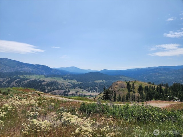 999 Roundabout Rd, Tonasket, WA 98859