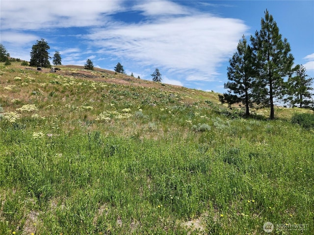 999 Roundabout Rd, Tonasket, WA 98859