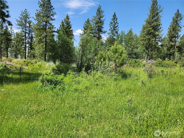 999 Roundabout Rd, Tonasket, WA 98859