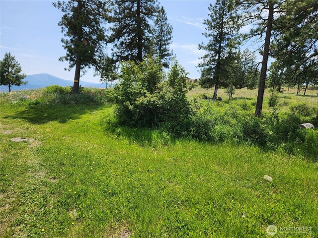 999 Roundabout Rd, Tonasket, WA 98859