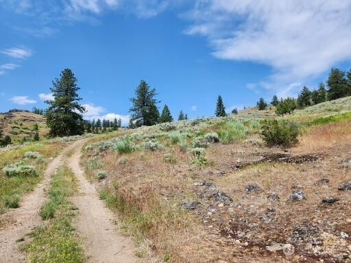 999 Roundabout Rd, Tonasket, WA 98859