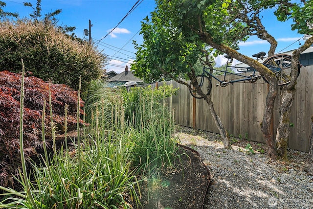 1116 N J St, Tacoma, WA 98403 - view of yard