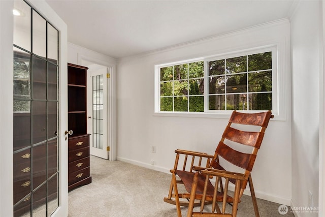 14023 Meridian Ave N, Seattle, WA 98133 - living area with carpet and crown molding