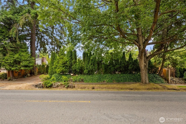 14023 Meridian Ave N, Seattle, WA 98133 - view of asphalt road