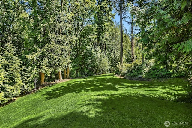 13424 N Madison Ave NE, Bainbridge Island, WA 98110 - photo 38