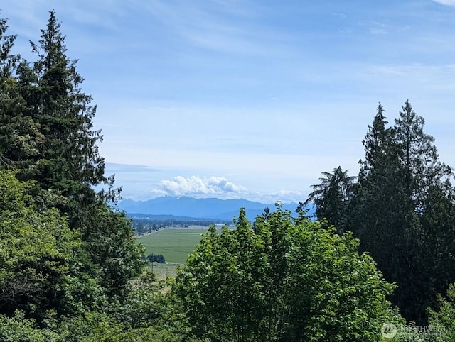 7401 E Heather Way, Everett, WA 98203 - mountain view