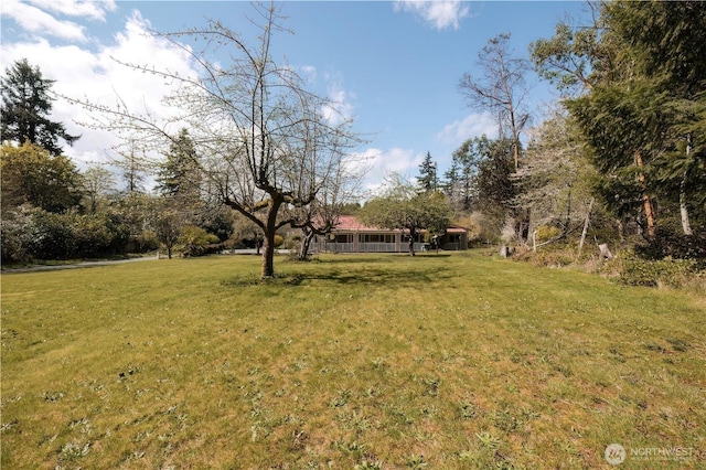 3709 Trenton Ave NE, Bremerton, WA 98310 - photo 34