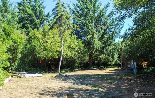 125131 Satsop St SW, Ocean Shores, WA 98569