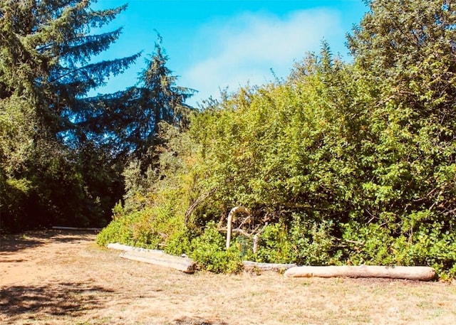 125131 Satsop St SW, Ocean Shores, WA 98569