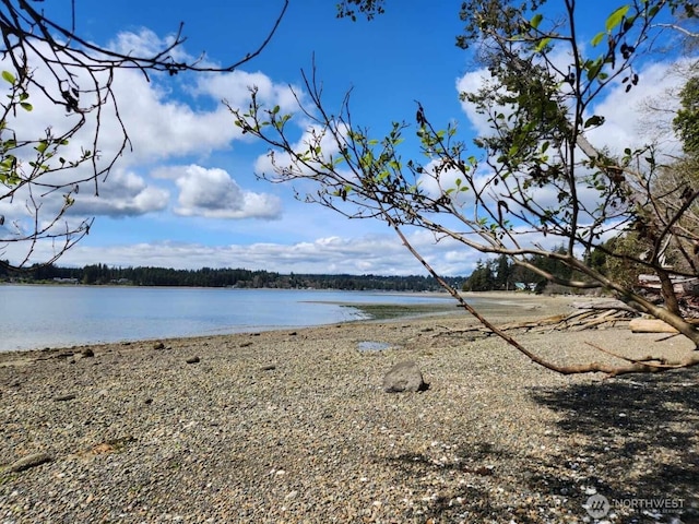 5301 E State Route 302, Belfair, WA 98528 - photo 2