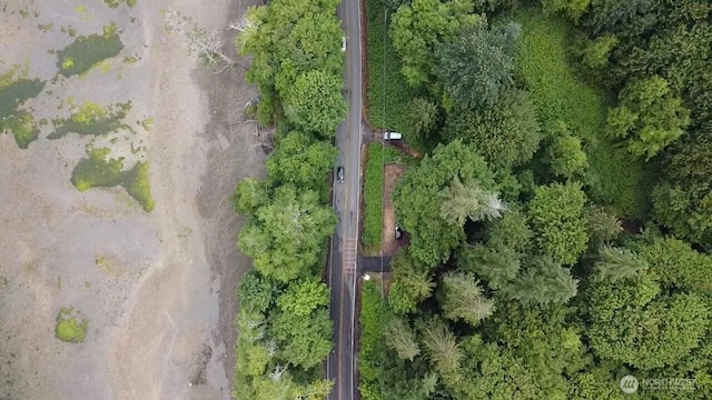 5301 E State Route 302, Belfair, WA 98528 - photo 3