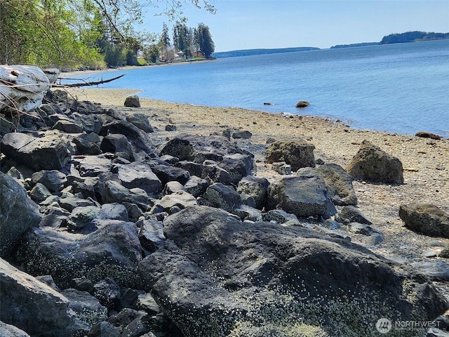 5301 E State Route 302, Belfair, WA 98528 - photo 4