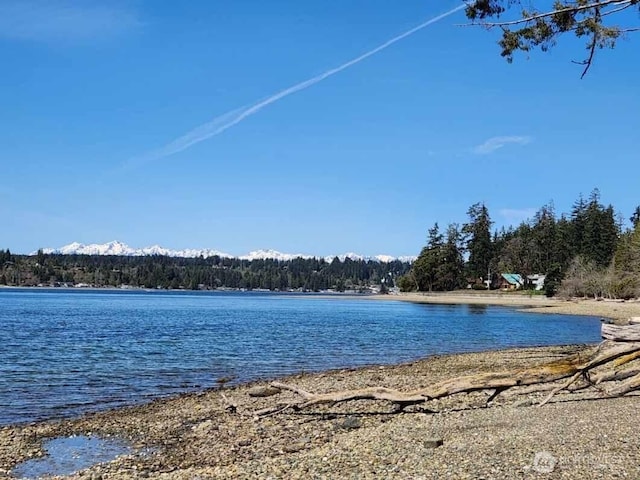 5301 E State Route 302, Belfair, WA 98528 - photo 8