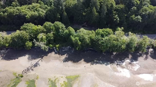 5301 E State Route 302, Belfair, WA 98528 - photo 10