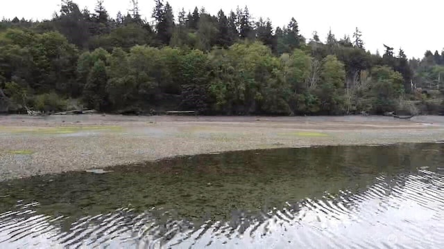 5301 E State Route 302, Belfair, WA 98528 - photo 12