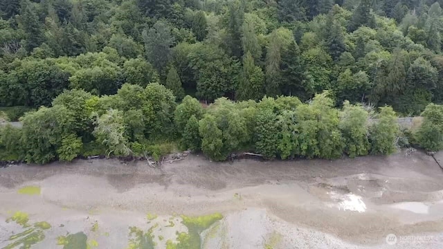 5301 E State Route 302, Belfair, WA 98528 - photo 13