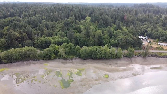 5301 E State Route 302, Belfair, WA 98528 - photo 14