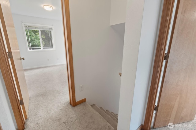 1625 Lincoln St, Bellingham, WA 98229 - hall with carpet floors and baseboards