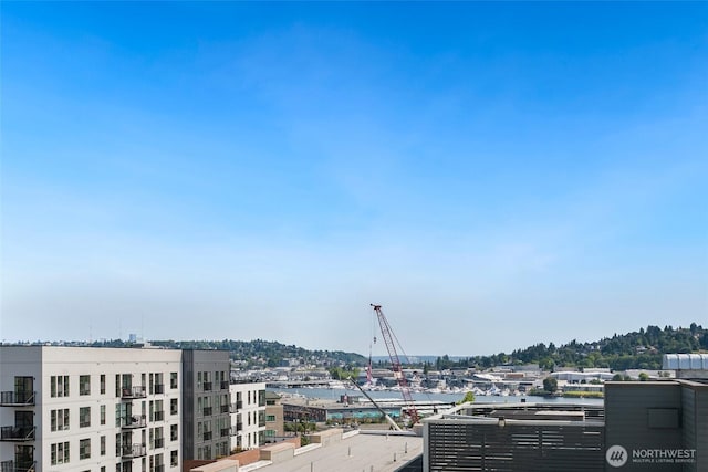 5615 24th Ave NW Unit 45, Seattle, WA 98107 - photo 29
