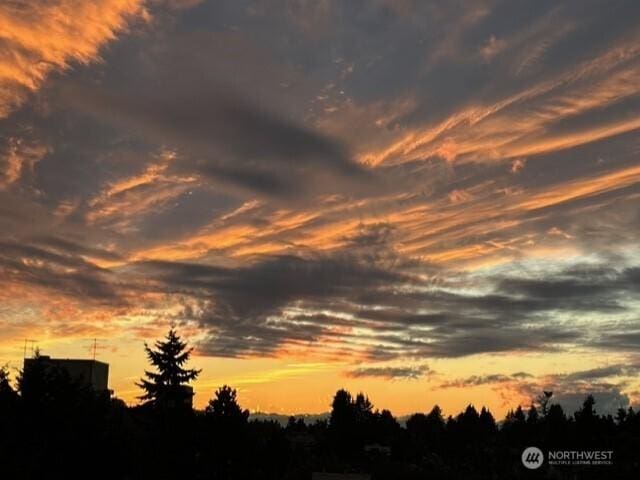5615 24th Ave NW Unit 45, Seattle, WA 98107 - photo 9