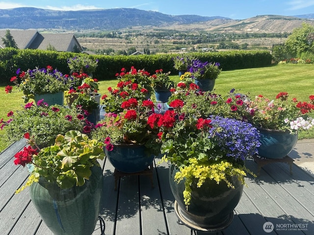 2835 Aspen Shores Dr, East Wenatchee, WA 98802 - view of mountain background