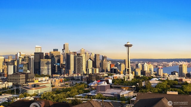 1214 Warren Ave N, Seattle, WA 98109 - skyline view