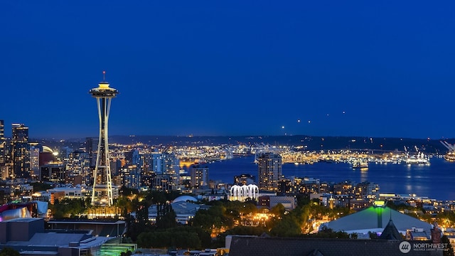 1214 Warren Ave N, Seattle, WA 98109 - city view with a view of city lights