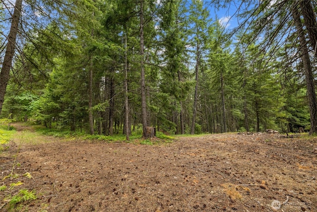 16341 Salmon La Sac Rd, Ronald, WA 98940 - photo 38