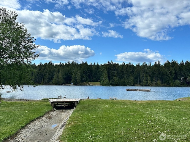 10412 Edgewood Dr, Anderson Island, WA 98303 - photo 6