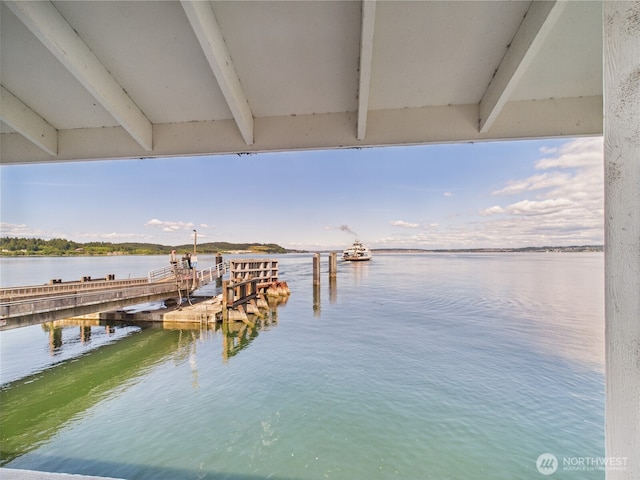10412 Edgewood Dr, Anderson Island, WA 98303 - photo 14