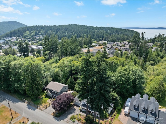 2702 Shannon Point Rd, Anacortes, WA 98221 - aerial view of residential area with a forest and a nearby body of water