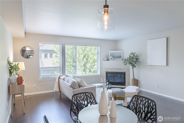 559 Mcgraw St Unit 204, Seattle, WA 98109 - living room featuring wood finished floors and a fireplace